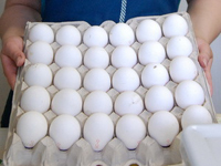 Отравление сырым куриным яйцом - симптомы и лечение